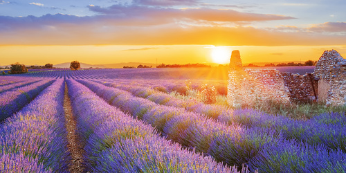 Provence style décor