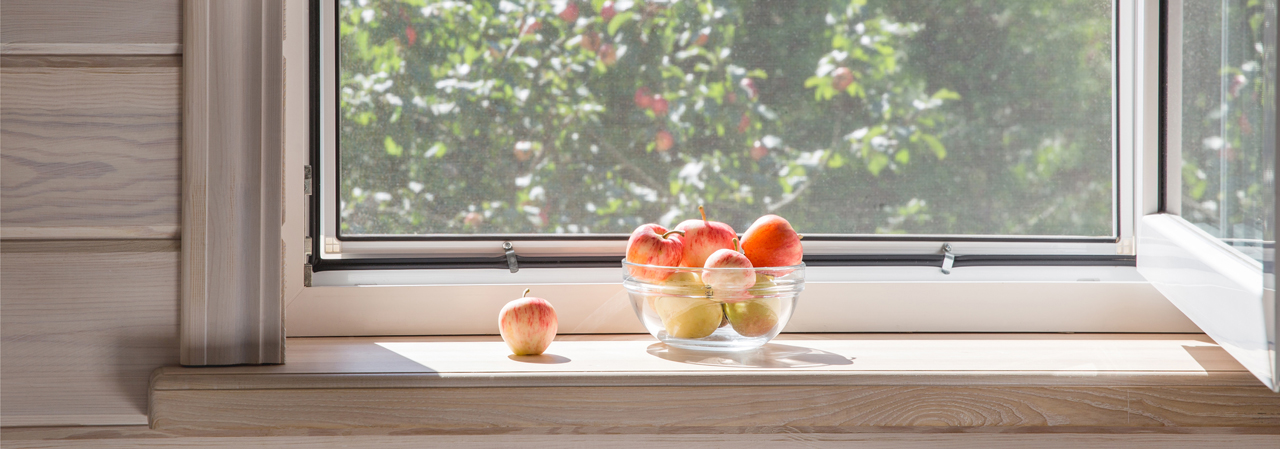 Insect screens for vertical windows