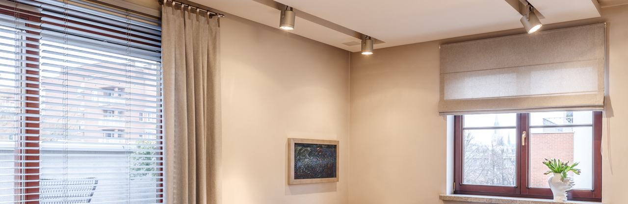 Roman blinds with muntin bars