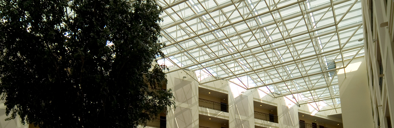Conservatory on the roof