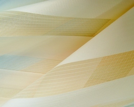 Roller blind day and night blackout