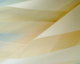 Custom-made interior day&night zebra roller blind, beige