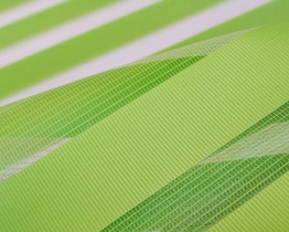 Custom-made interior day night blinds zebra roller blind, green