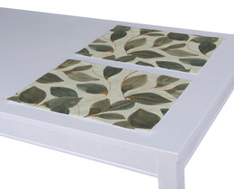 Set of 2 Placemats