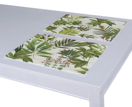 Set of 2 Placemats