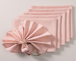 Set napkins 6pcs 42x42 133-39