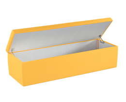 Upholstered Storage Box