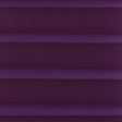 CO 104 Purple SALE
