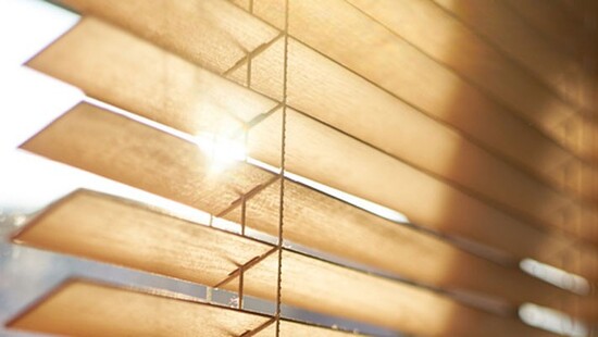 Bamboo blinds