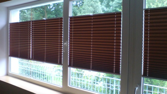 Pleated Blinds