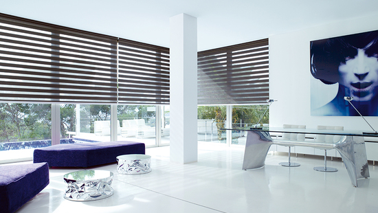 Made to measure day and night blinds