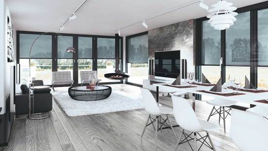 Screen Roller Blinds STANDARD