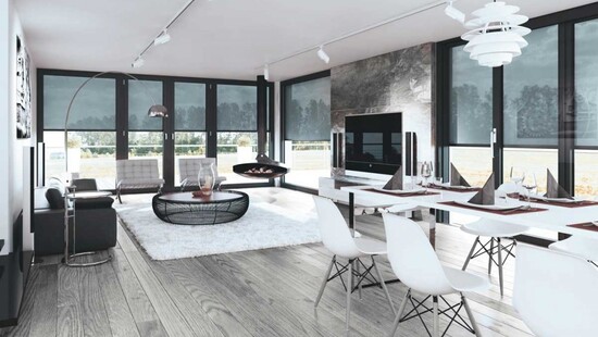 Window Privacy Screens