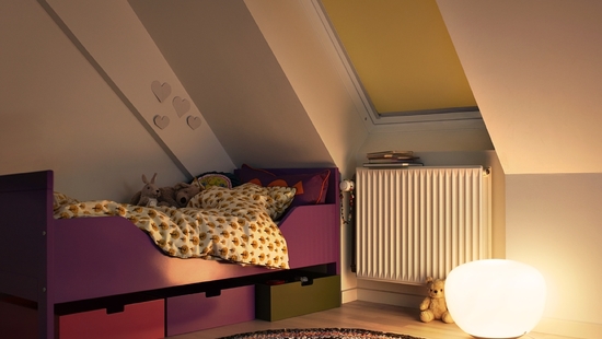 
										Blackout blinds VELUX
																						