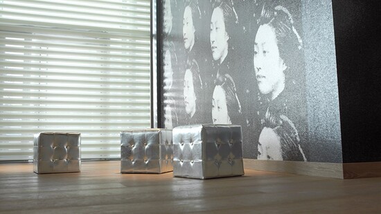 Day and night roller blinds