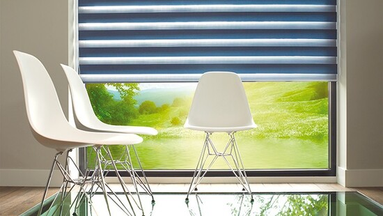 Day and night window blinds