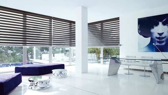 Day and night window blinds