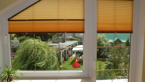 Pleated Blinds