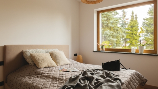 Wooden window single-pane