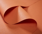 Custom-made interior roller blind, orange