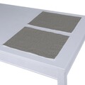 Set of 2 Placemats