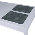 Set of 2 Placemats