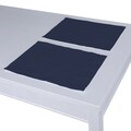 Set of 2 Placemats